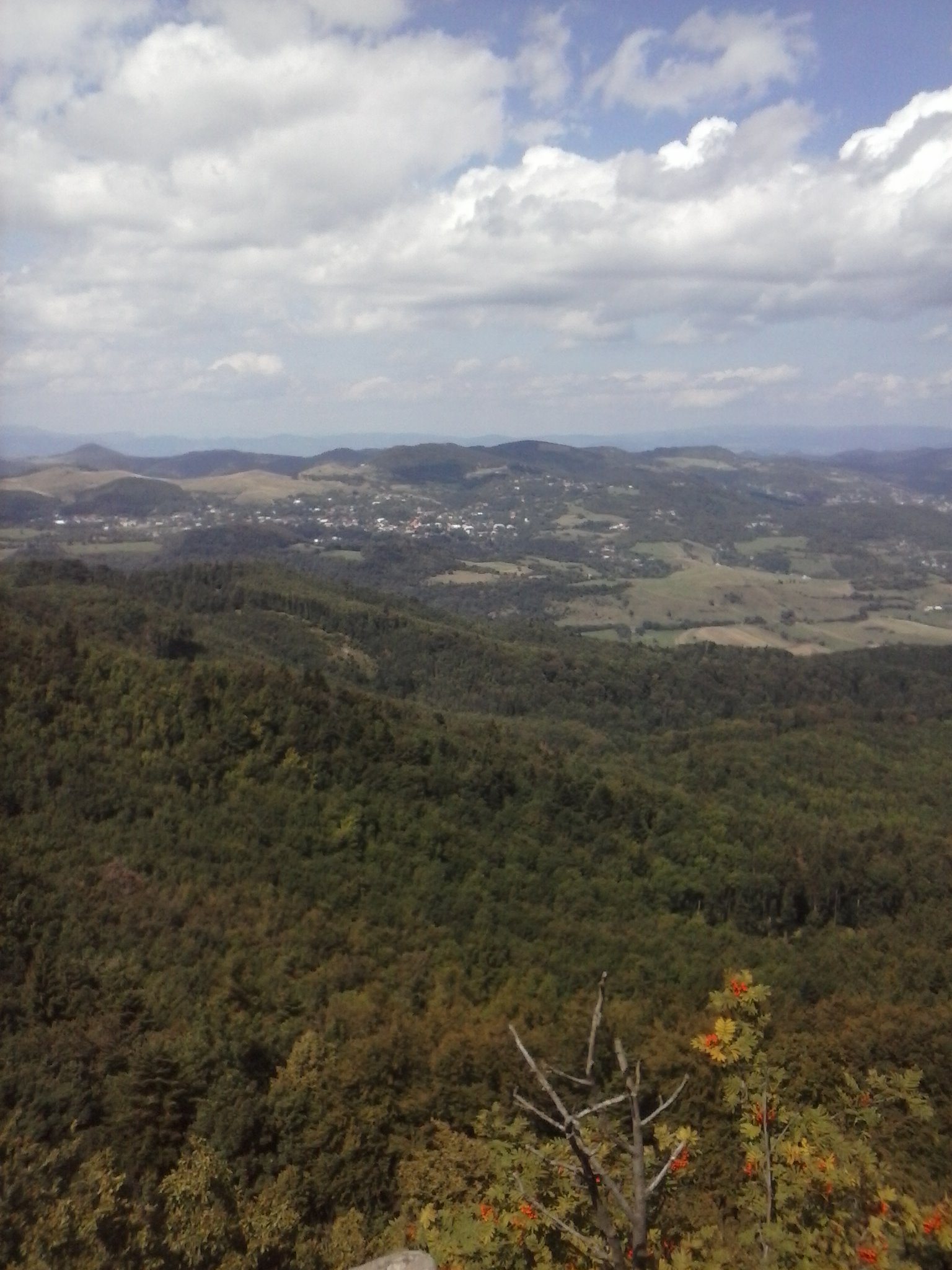 CAM00671