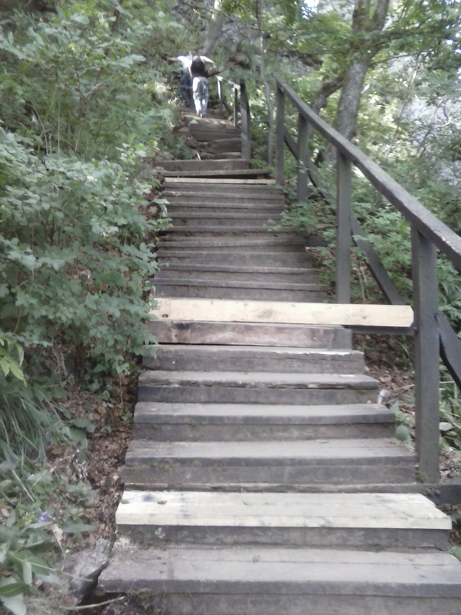 CAM00665