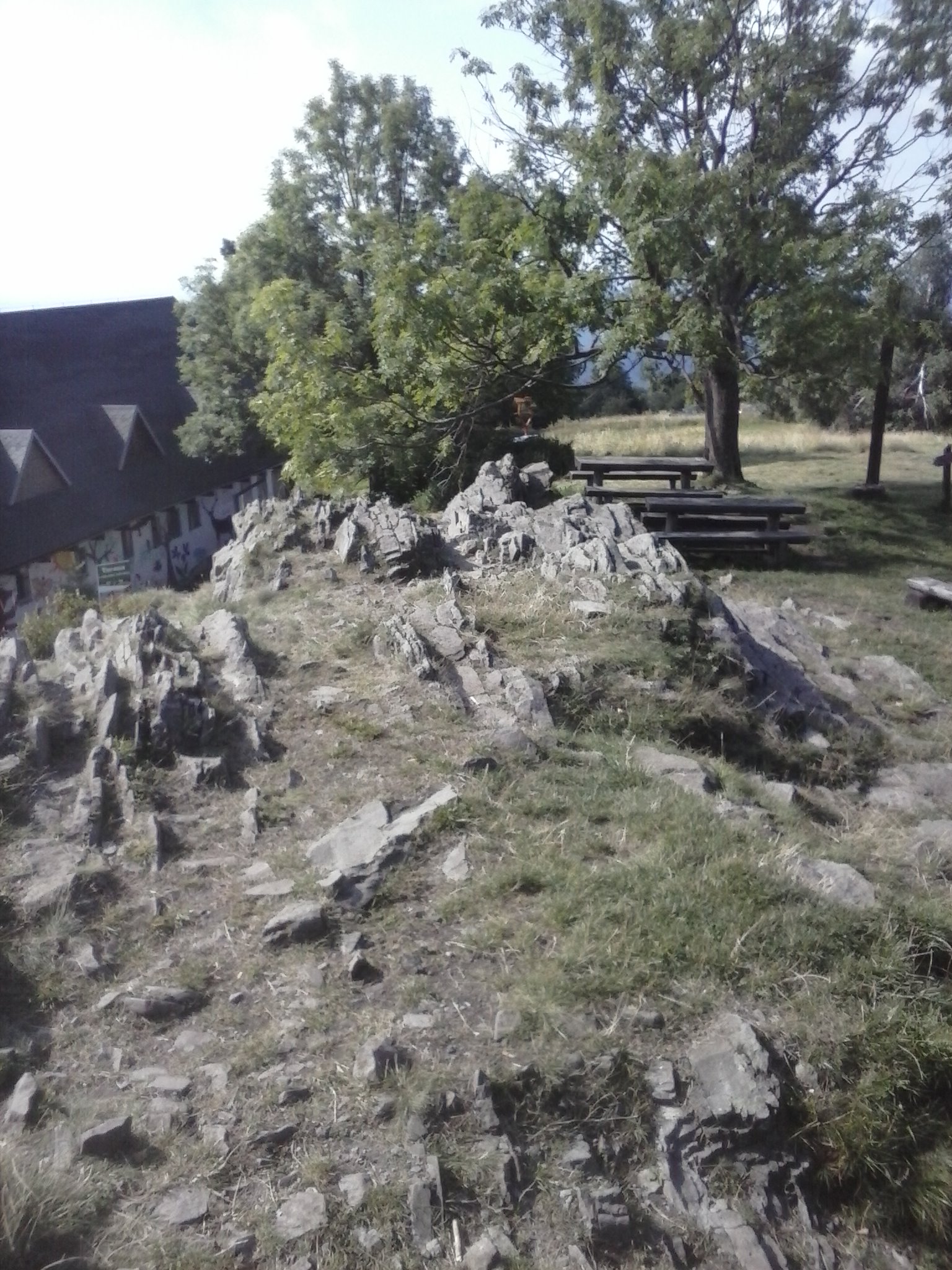 CAM00660