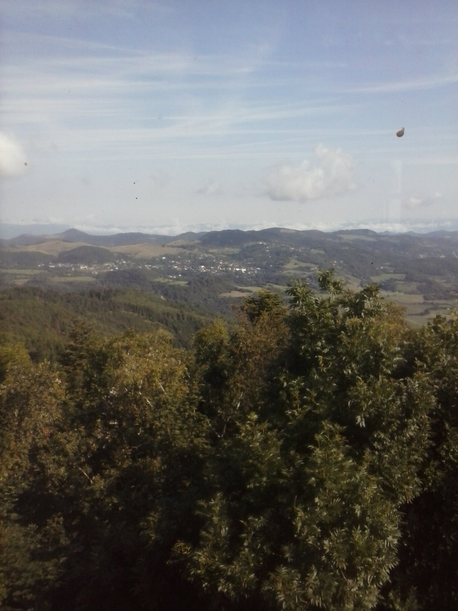 CAM00646